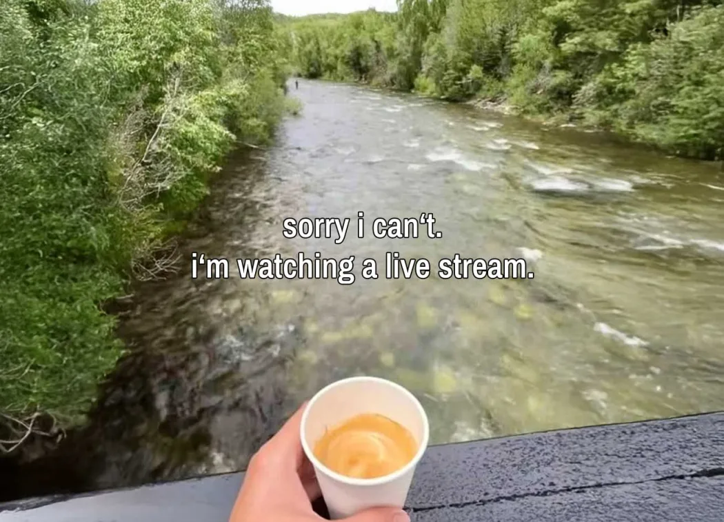 Meme: »sorry i can't. i'm watching a live stream.« – Blick auf einen Fluss